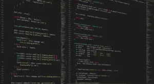 Developers collaborating on a monolithic codebase